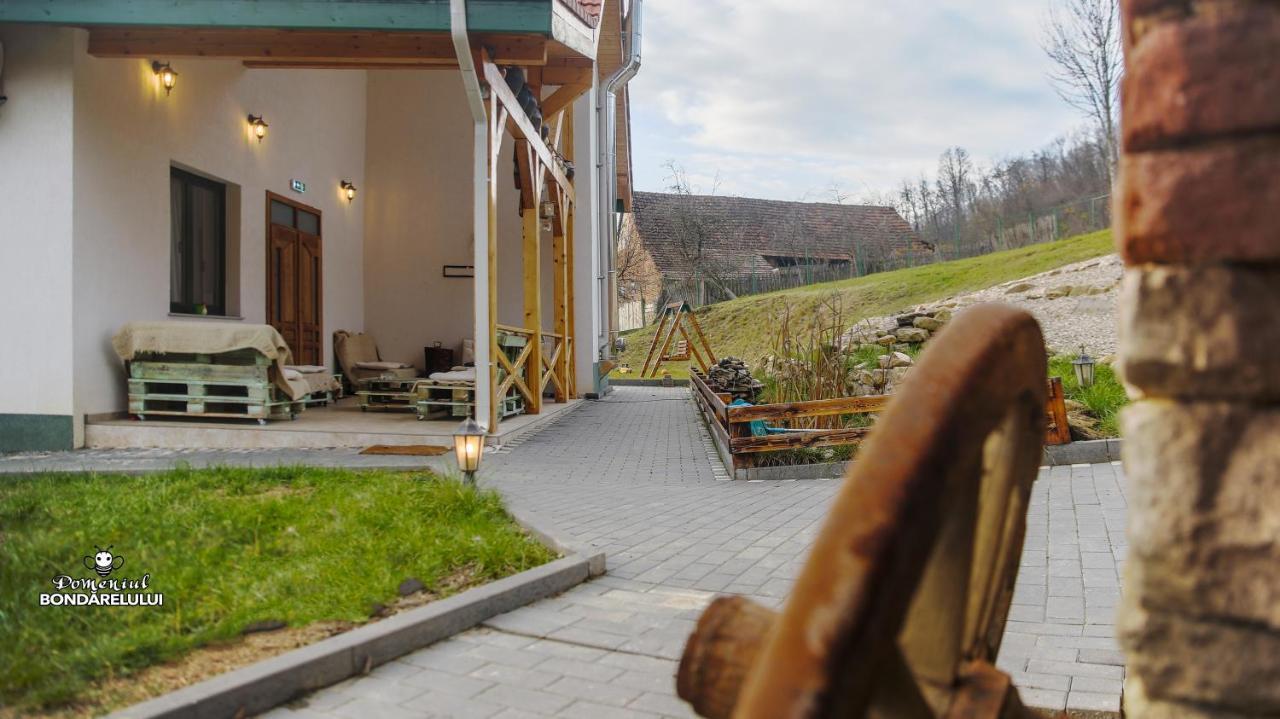 Domeniul Bondarelului Hotell Ocolisu Mic Exteriör bild